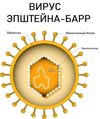 Вирус (сериал, 1 сезон, все серии), 2019 — описание, интересные факты —  Кинопоиск