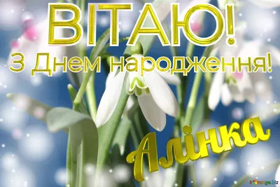 Вітаю, с розой. Купить Вітаю, с розой в Киеве, Украина, Доставка | iFlowers