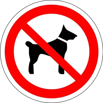 Вход с собаками запрещен картинки фотографии