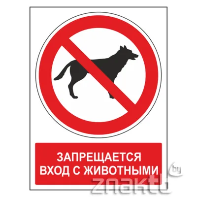 473 Знак Запрещается вход с животными (с поясняющей надписью) (1344) купить  в Минске, цена