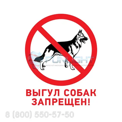 Наклейка из ПВХ: \"Вход с животными запрещен\" 150х150 мм (5 шт), 15 см, 15  см - купить в интернет-магазине OZON по выгодной цене (183869598)