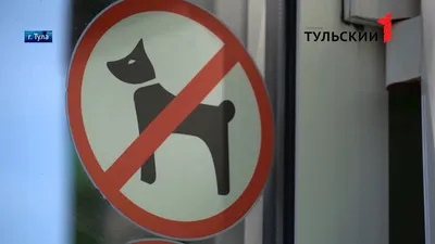 Вход с собакой запрещен\": законны ли штрафы в магазинах и кафе? -  MagadanMedia