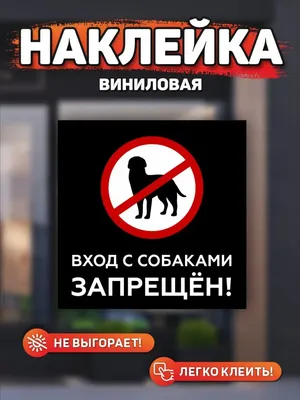 Можно ли с собакой сходить в аптеку, магазин или кафе - Новости Тулы и  области - 1tulatv
