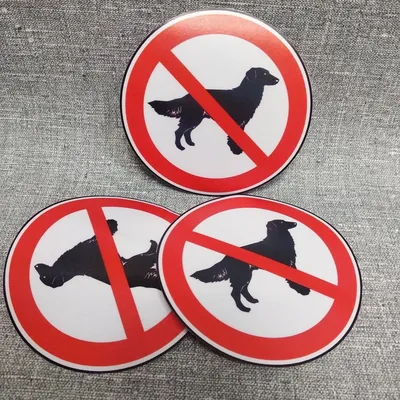 Табличка \"Вход с собаками любых пород запрещен\" А3 (40х30см) — купить в  интернет-магазине по низкой цене на Яндекс Маркете