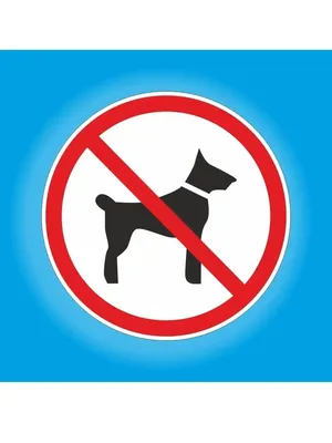Табличка «Вход с собаками воспрещен» : шаблоны, примеры макетов и дизайна,  фото