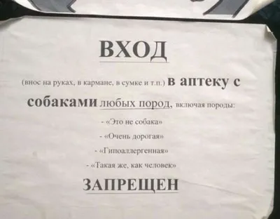 Информационная табличка «Вход с собаками, животными запрещен» пиктограмм К42