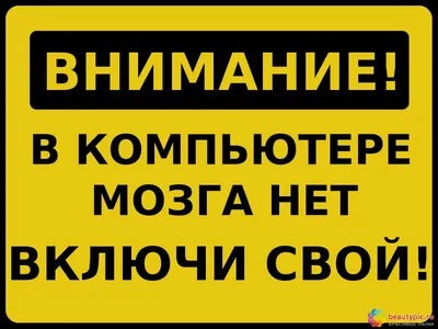 ЖК Включи в Калининграде от застройщика ССК