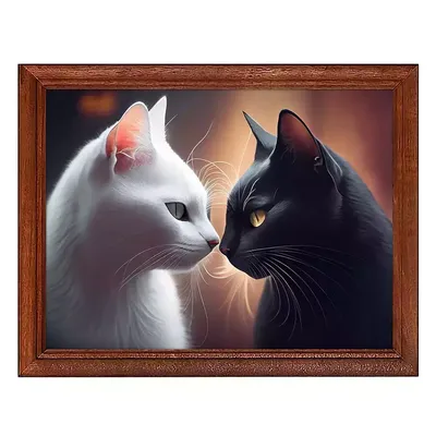 Влюбленные кошки - 59 фото | Cats, Kittens cutest, Cat magazine