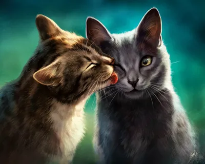 День влюбленных кошек | Животные | Дзен