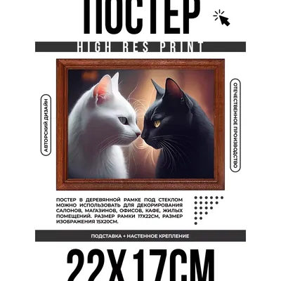 Наволочка JoyArty декоративная \"Влюбленные коты на крыше\" на молнии, 45x45  см - купить в Москве, цены на Мегамаркет