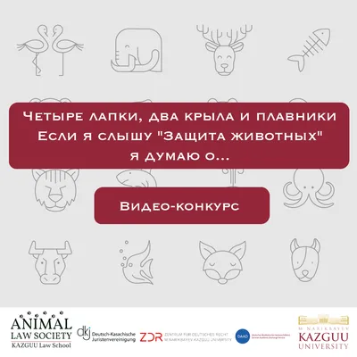 Внимание Конкурс ! | Администрация Советского муниципального района  Саратовской области