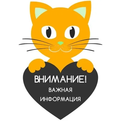 ВНИМАНИЕ! ВАЖНО! – Новости – Окружное управление социального развития  (городского округа Коломна)