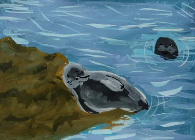 дельфин млекопитающее Водные животные красный PNG , красный, рисованной,  живопись PNG картинки и пнг PSD рисунок для бесплатной загрузки