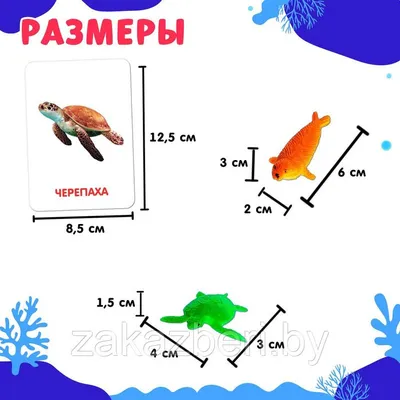 Морской мир искусство, Иллюстрации, Водные животные