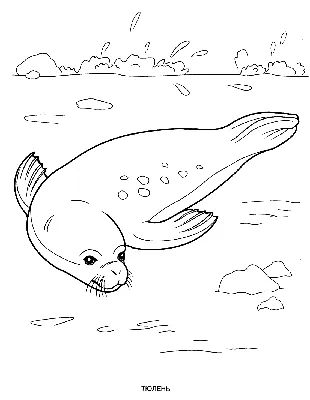 Рисованной Морская жизнь Морские животные дельфин PNG , клипарт дельфин,  водный, Водные продукты PNG картинки и пнг PSD рисунок для бесплатной  загрузки