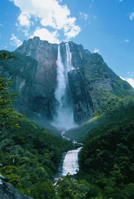 Чтобы увидеть самый высокий водопад в мире, нужно идти 10 часов на лодке  среди джунглей | Пикабу