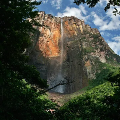 Водопад Анхель — стоковые фотографии и другие картинки Водопад Анхель - Водопад  Анхель, Венесуэла, Канайма - iStock
