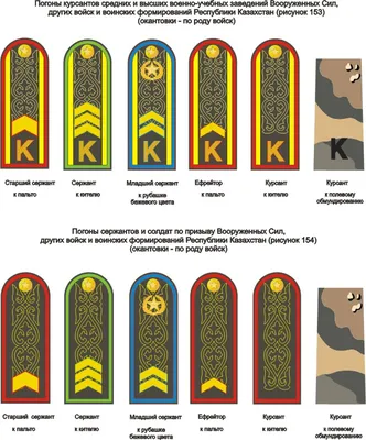 Новые форма, погоны, знаки различия: как будет выглядеть обновленная  украинская армия - Днепр Инфо