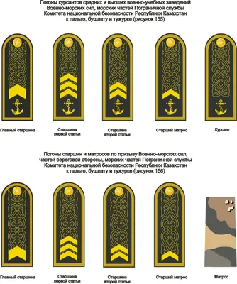 Новые форма, погоны, знаки различия: как будет выглядеть обновленная  украинская армия - Днепр Инфо