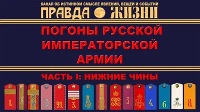 Погоны, Воинские Звания И Знаки Отличия Иллюстрация На Белом Фоне Клипарты,  SVG, векторы, и Набор Иллюстраций Без Оплаты Отчислений. Image 15908774