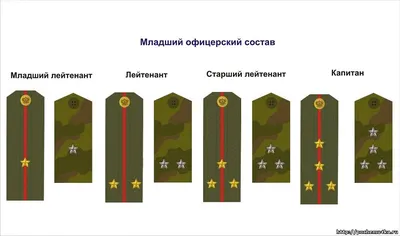 Погоны и звания полиции