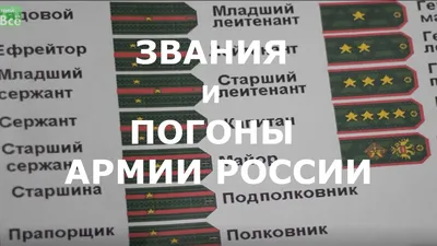 Украина стала ближе к НАТО: Рада ввела новые воинские звания — бригадный  генерал и коммодор | Новости Одессы