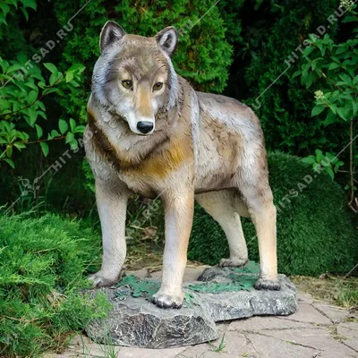 Картина по номерам Волчица с волчатами, Babylon, VP1358 - описание, отзывы,  продажа | CultMall
