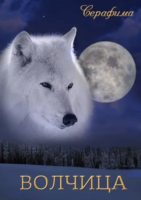 Картина \"Волчица\". Волчица в осеннем лесу, волки в интернет-магазине  Ярмарка Мастеров по цене 5000 ₽ – JOXVKBY | Картины, Самара - доставка по  России