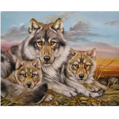 Картинки волчицы - 78 фото
