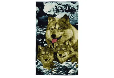 Волчица с волчёнком | Baby wolves, Wolf dog, Animals beautiful