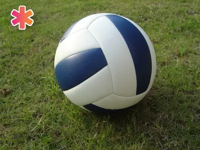 Мяч для классического волейбола Волар VL-100
