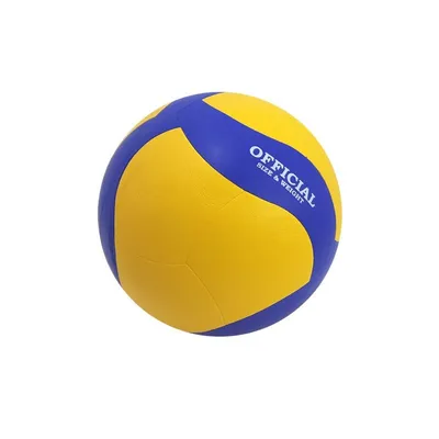 Заказать Мяч волейбольный Mikasa Voley ball для мужчин в онлайн магазине  SportLandia.md