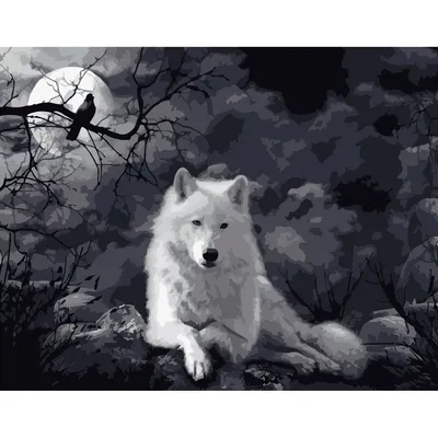 портрет волка. черно-белый черный рисунок Иллюстрация вектора - иллюстрации  насчитывающей черный, украшение: 216494723
