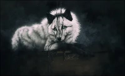 черно-белый логотип волка, стикер с изображением серого волка Белый  американский черный медведь, волк, белый, лицо, кошка png | PNGWing