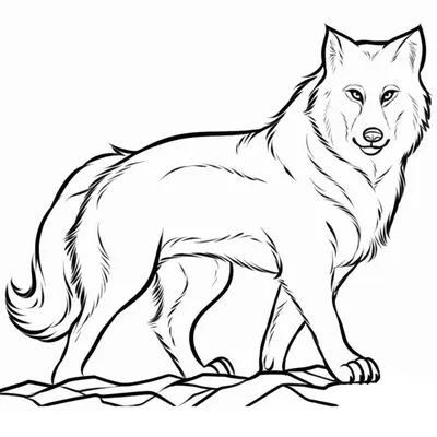 Купить Нашивка ( шеврон патч patch ) тактическая Волк вышитая на липучке  8х6,5 черно-белая (2509385) - HAKKI
