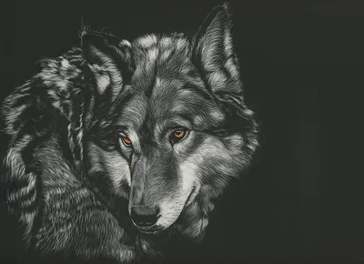 Купить Черная ворона, белый волк, холст, живопись, акварельные постеры с  животными и принты, настенные художественные картинки для украшения  гостиной, Cuadros | Joom