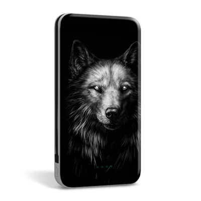 Чёрно-белый мультяшный волк Векторное изображение ©lineartestpilot 101458734