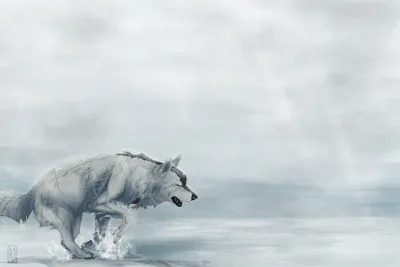 Скачать картинку Аниме волк под дожем бесплатно