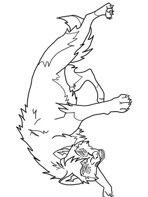 Обои на рабочий стол Девушка - волк Grey Wolf в ночном лесу из аниме Kemono  Friends / Ушастые Друзья, обои для рабочего стола, скачать обои, обои  бесплатно