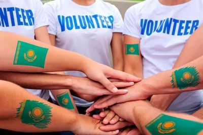 Каким бывает волонтерство и как фонду построить волонтерское сообщество |  Блог фонда «Нужна помощь»