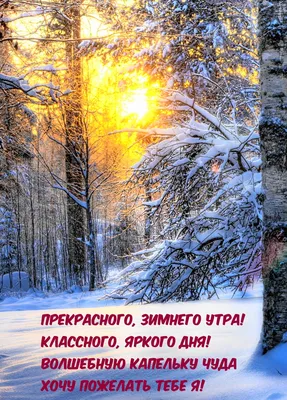 Зимние открытки \"С Добрым Утром!\" (205 шт.)