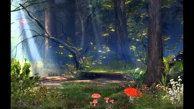 заколдованный лес окутанный туманом и освещенными шарами 3d иллюстрация,  сказочный лес, волшебный лес, ночной лес фон картинки и Фото для бесплатной  загрузки