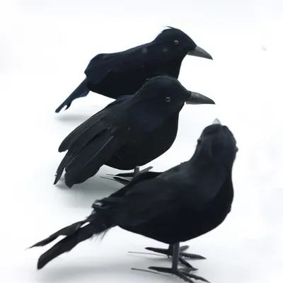 Черный ворон в туманном лесу» — создано в Шедевруме