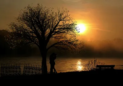 Бесплатное изображение: Рассвет, восход солнца, Сумерки, солнце, силуэт,  пейзаж, дерево, закат
