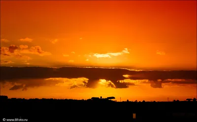 Солнечный рассвет в Одессе в 5:20 утра. Прекрасный вид который можно  увидеть лишь встать пораньше | Закаты, Рассвет, Вид