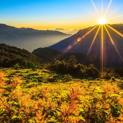 Восход солнца - рассвет, поле, Солнце, ферма, небо Стоковое Фото -  изображение насчитывающей зерно, лужок: 107572240
