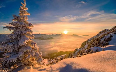 Зимний Восход солнца (40 фото) - 40 фото