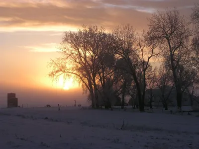 Зимний Пейзаж. Восход Солнца Над Заснеженным Полем. Фотография, картинки,  изображения и сток-фотография без роялти. Image 71337892
