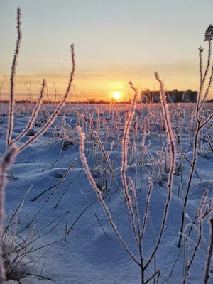 Зимний восход солнца - Зима - Фото галерея - Галерейка