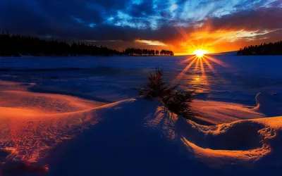 Восход солнца в Stile Instagram леса березы зимы Стоковое Изображение -  изображение насчитывающей январь, климат: 47152563
